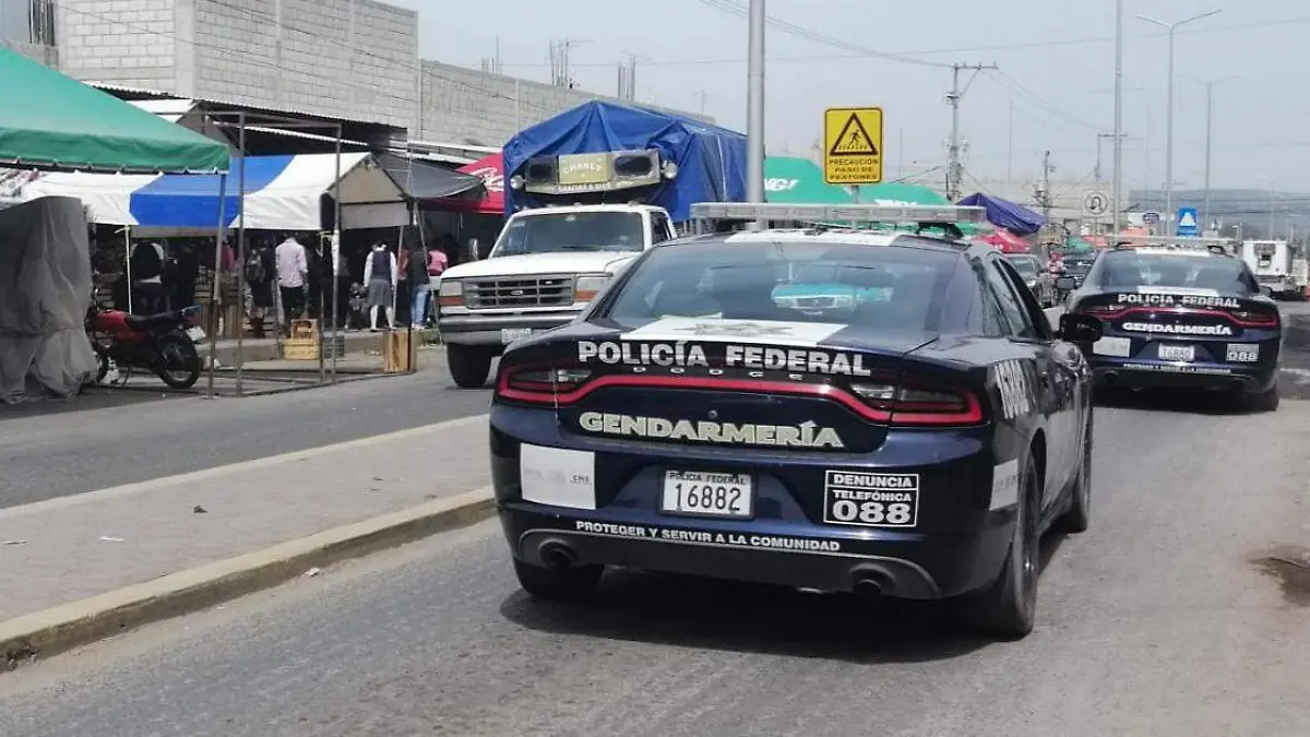 policía federal